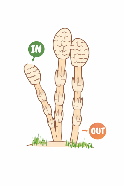 AMAZING MAZES Brain-Boosting Puzzle Book for All Ages